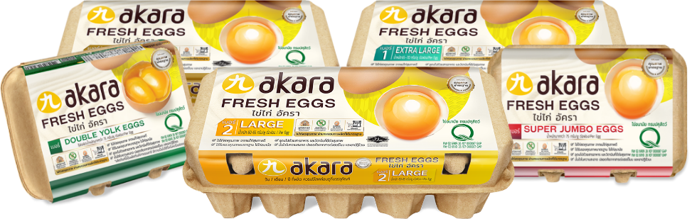 รวม ไข่ไก่อนามัย akara