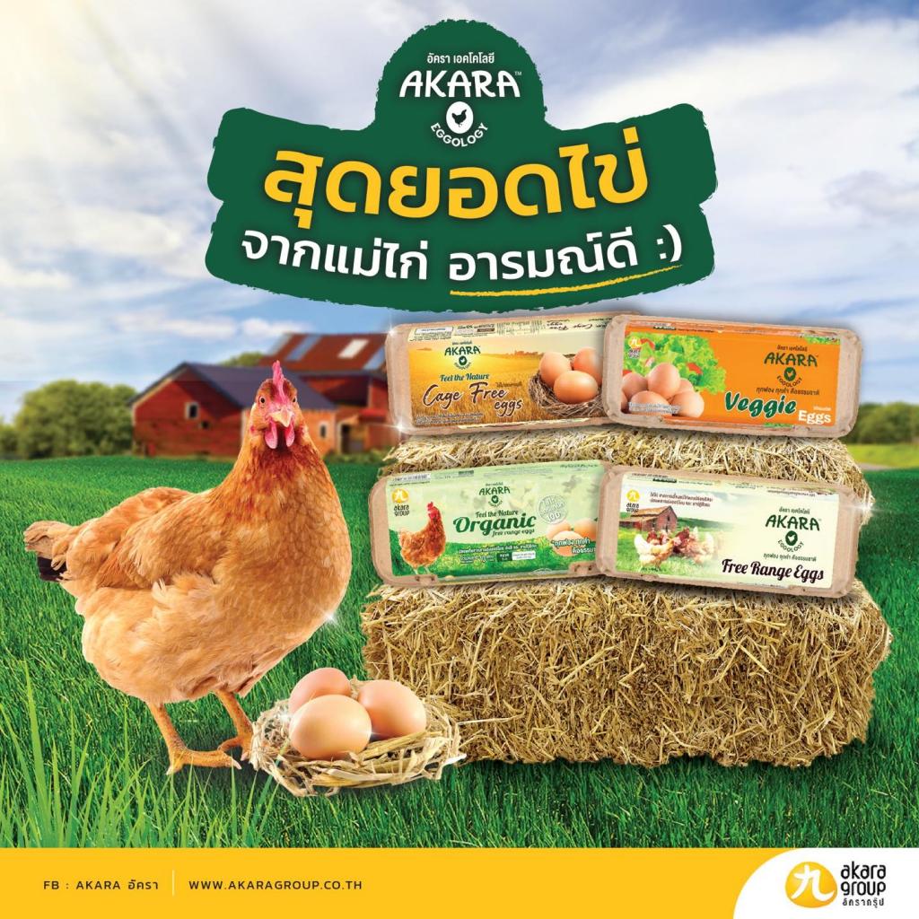 AKARA EGGOLOGY สุดยอดไข่ จากแม่ไก่อารมณ์ดี